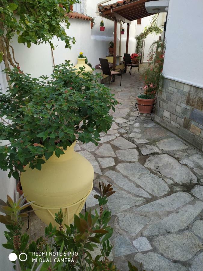 Pension Nikolas Skiathos Town Exterior photo